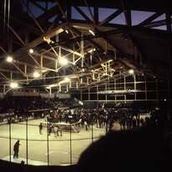 174124126-104271108464599-4955170256609814694-n